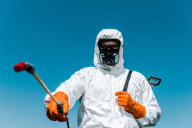 Best Termite Inspection and Treatment  in Amelia, LA